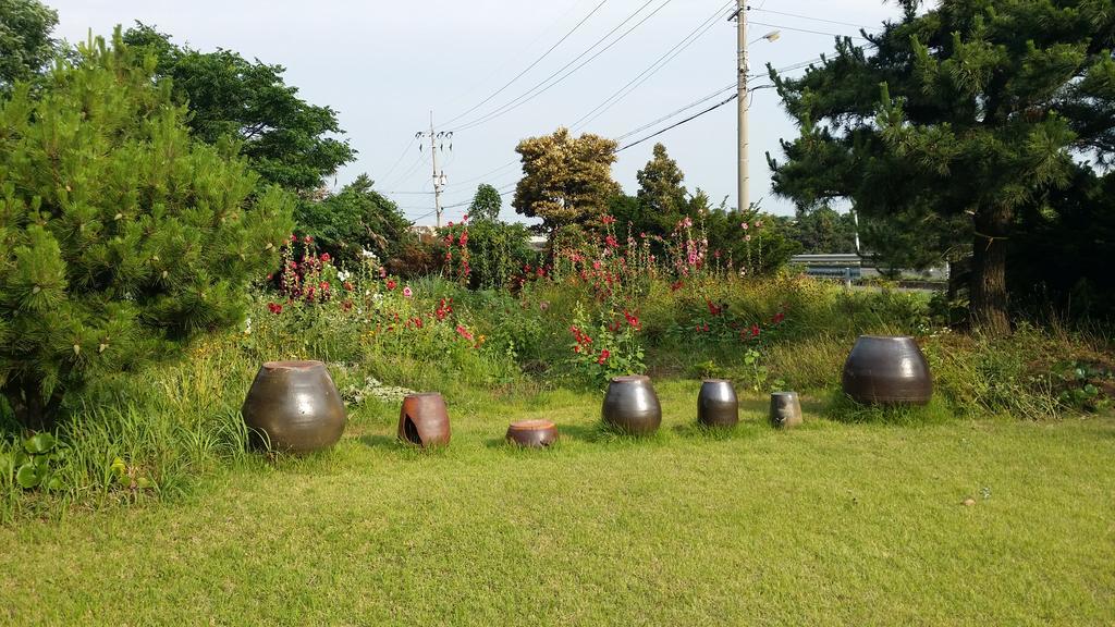Jun House Jeju Exterior foto